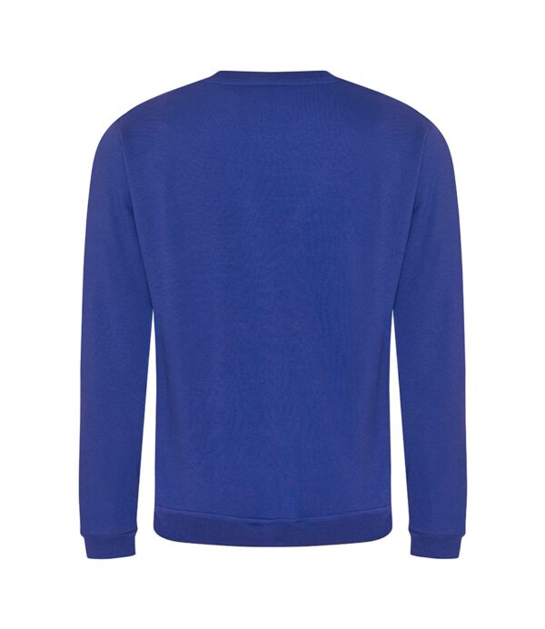 PRO RTX Pro Sweatshirt